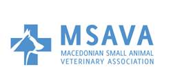 logo msava